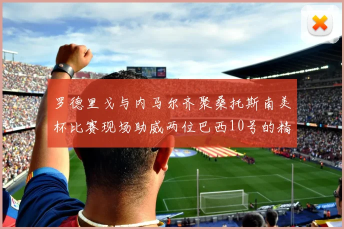 罗德里戈与内马尔齐聚桑托斯南美杯比赛现场助威两位巴西10号的精彩时刻