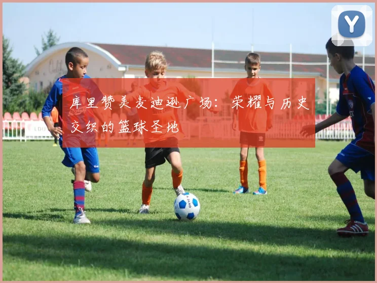 库里赞美麦迪逊广场：荣耀与历史交织的篮球圣地