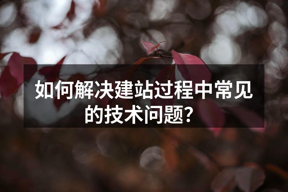 如何解决建站过程中常见的技术问题？