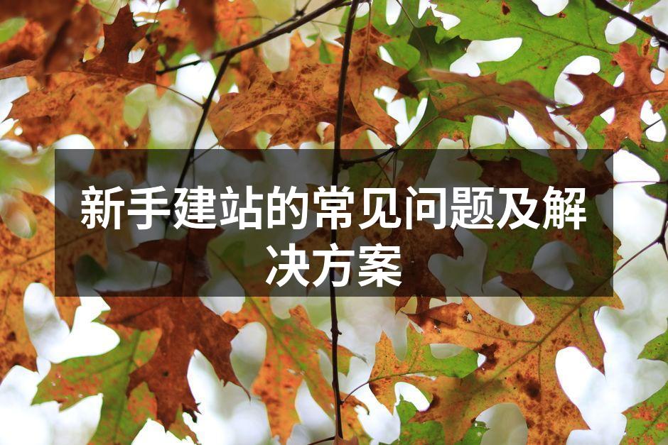 选择合适的域名是建站的第一步